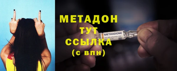 индика Няндома
