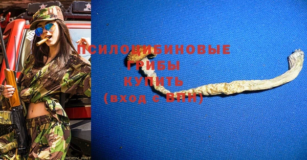 эйфоретик Алзамай