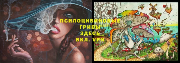 мет Алексин