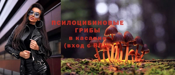 мет Алексин
