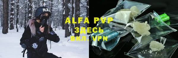 мет Алексин