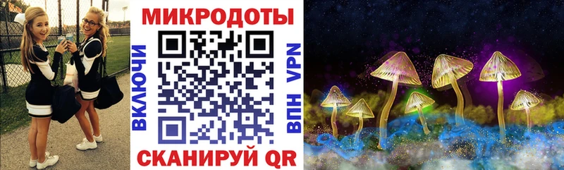 хочу наркоту  Нюрба  Псилоцибиновые грибы Magic Shrooms 